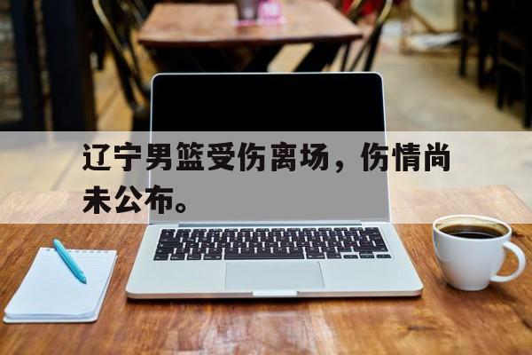 九游在线使用网址-辽宁男篮受伤离场，伤情尚未公布。