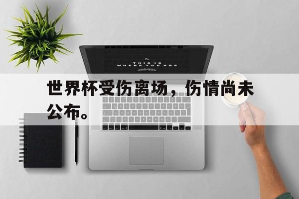世界杯受伤离场，伤情尚未公布。